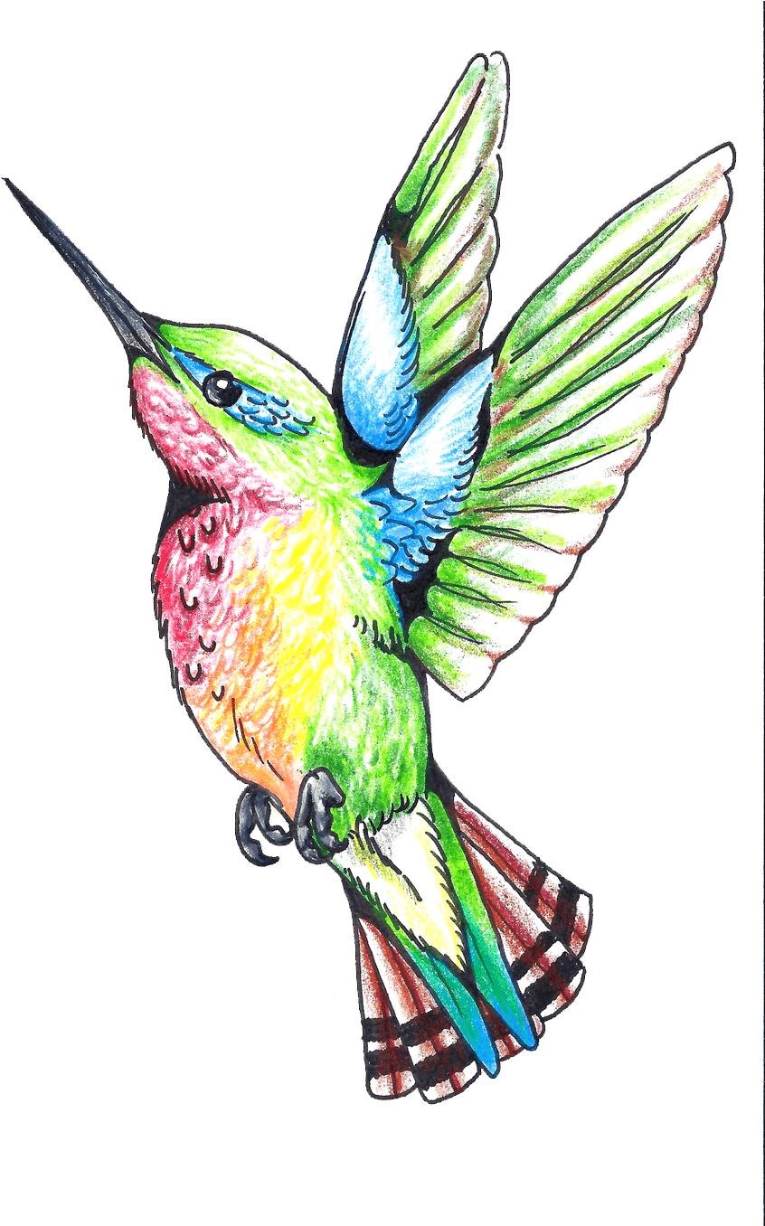 Hummingbird Tattoos Png Clipart - Hummingbird - Free Transparent PNG Clipart Images Download. - Transparent PNG Free Download | PNGio