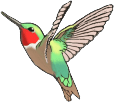 Hummingbird Tattoos Cut Out Png Images - Ruby-throated Hummingbird - Free Transparent PNG Clipart Images Download. - Transparent PNG Free Download | PNGio