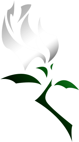 White Rose Tattoo By L Oneliness - White Rose Tattoo By L Oneliness - Free Transparent PNG Clipart Images Download. - Transparent PNG Free Download | PNGio