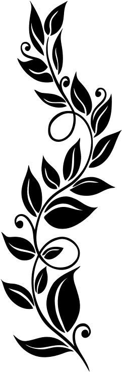 Affordable Excellent Wandtattoo Ornament X With Vgel - Silhouette Ranke - Free Transparent PNG Clipart Images Download. - Transparent PNG Free Download | PNGio