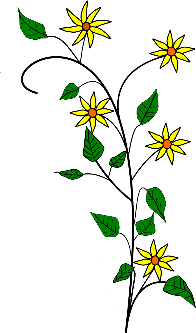 Edelweiss Flower Tattoo - Yellow Flowers Shower Curtain - Free Transparent PNG Clipart Images Download. - Transparent PNG Free Download | PNGio