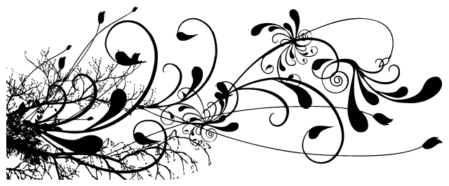 Bumper Stickers Car Tattoos Floral - Floral Swirls Design Png - Free Transparent PNG Clipart Images Download. - Transparent PNG Free Download | PNGio