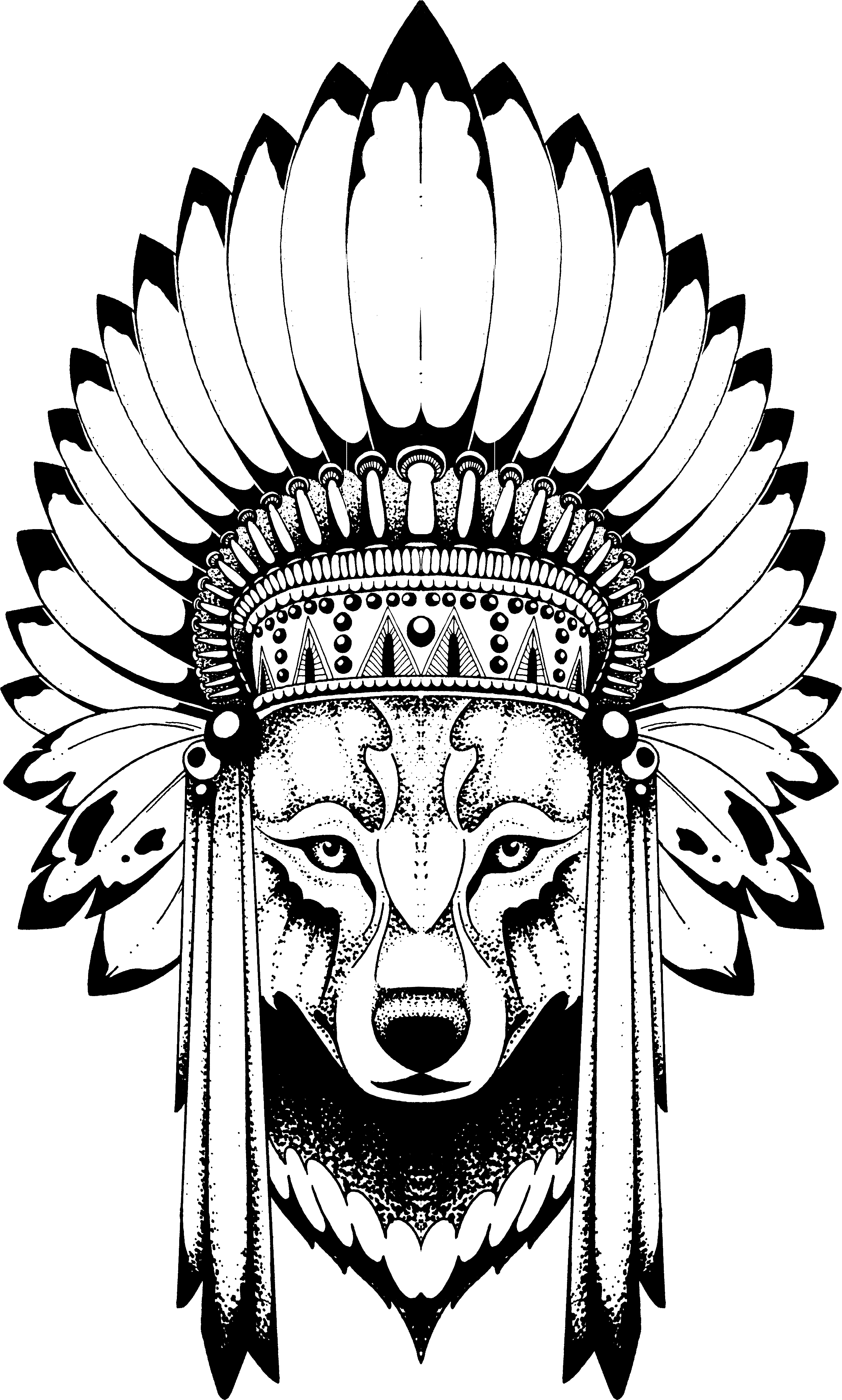 Anastasiya Avina - Wolf With Indian Headdress - Free Transparent PNG Clipart Images Download. - Transparent PNG Free Download | PNGio