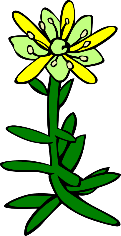 Snowdrop Flower Tattoo - Clip Art - Free Transparent PNG Clipart Images Download. - Transparent PNG Free Download | PNGio