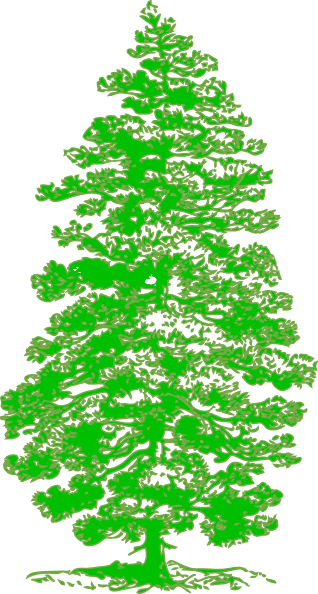 Tattoo Free Oak Tree Clip Art - Parts Of A Pine Tree - Free Transparent PNG Clipart Images Download. - Transparent PNG Free Download | PNGio