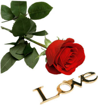 I Love You, Gifs, Tattoo Designs, Roses, Love You - Good Morning Have A Nice Day Coffee - Free Transparent PNG Clipart Images Download. - Transparent PNG Free Download | PNGio