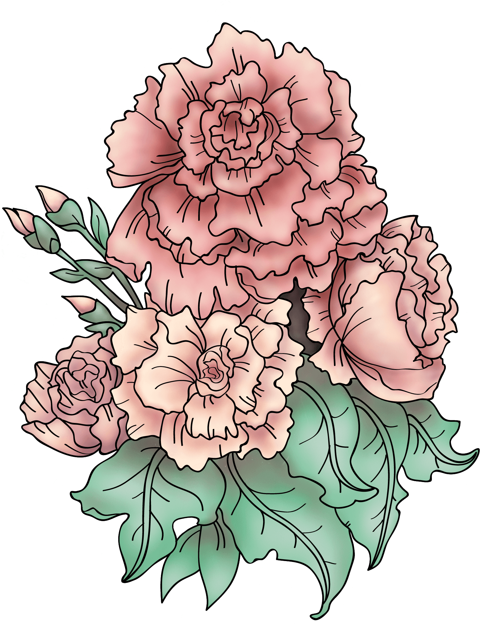 Tattoo Design Based On "still Life Of Carnations" By - Tatuaje Claveles - Free Transparent PNG Clipart Images Download. - Transparent PNG Free Download | PNGio