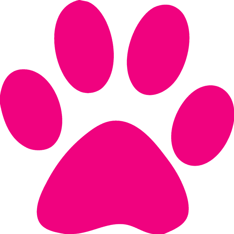 Custom Cat Paw Temporary Tattoos - Paw Print Clip Art - Free Transparent PNG Clipart Images Download. - Transparent PNG Free Download | PNGio