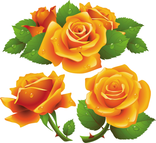 Tattoo Picstattoo Ideasorange Rosesrose Tattoosbeautiful - Yellow Roses Free Vector - Free Transparent PNG Clipart Images Download. - Transparent PNG Free Download | PNGio