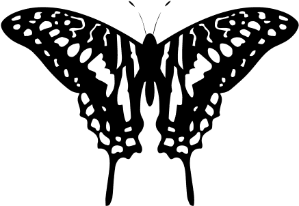 Free Black And White Butterfly Tattoo Design ❥❥❥ Https - Black And White Butterfly Transparent - Free Transparent PNG Clipart Images Download. - Transparent PNG Free Download | PNGio