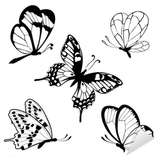 Set Black White Butterflies Of A Tattoo Sticker • Pixers® - Gear New Set Black White Butterflies Of Tattoo Bath - Free Transparent PNG Clipart Images Download. - Transparent PNG Free Download | PNGio
