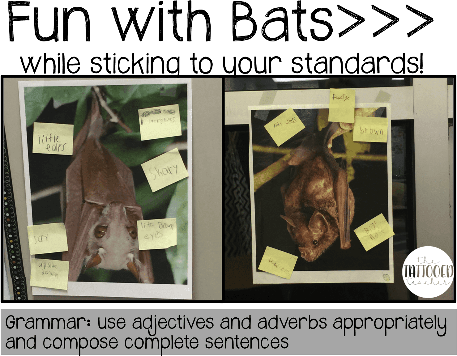 Bat Fun While Sticking To Your Standards Freebies - Carollia Perspicillata - Free Transparent PNG Clipart Images Download. - Transparent PNG Free Download | PNGio