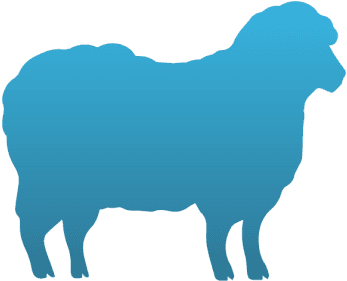 Sheep Temporary Tattoo - Sheep Stencil - Free Transparent PNG Clipart Images Download. - Transparent PNG Free Download | PNGio