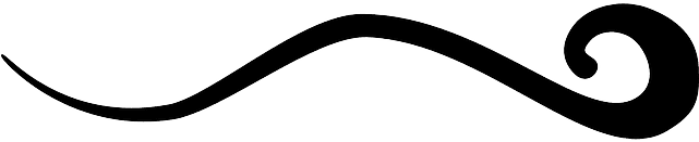 Vine, Wave, Eleven, Tattoo - Curls & Curves Clipart - Free Transparent PNG Clipart Images Download. - Transparent PNG Free Download | PNGio