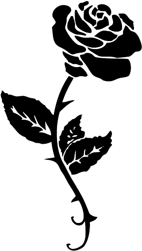 Black Rose Tattoo Png - Beauty And The Beast Rose Stencil - Free Transparent PNG Clipart Images Download. - Transparent PNG Free Download | PNGio