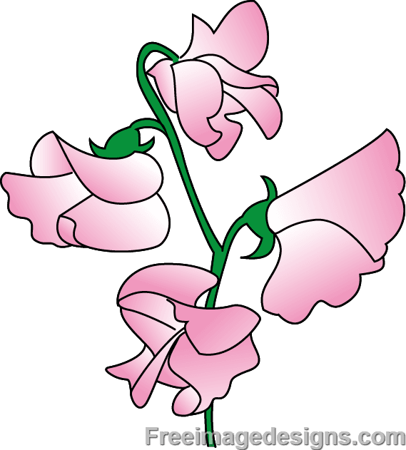 Sweetpea Flowers Image Design Download Free Image Tattoo - Sweet Pea Flower Design - Free Transparent PNG Clipart Images Download. - Transparent PNG Free Download | PNGio