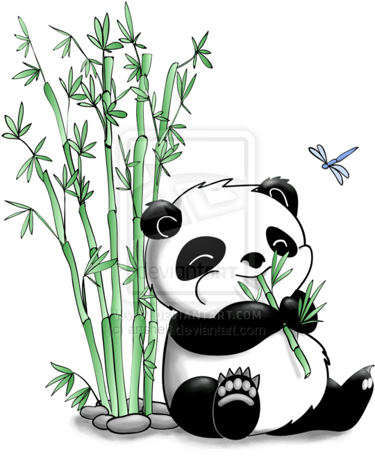 Pin By Will Fisher On Boom Bewm - Panda And Bamboo Drawing - Free Transparent PNG Clipart Images Download. - Transparent PNG Free Download | PNGio