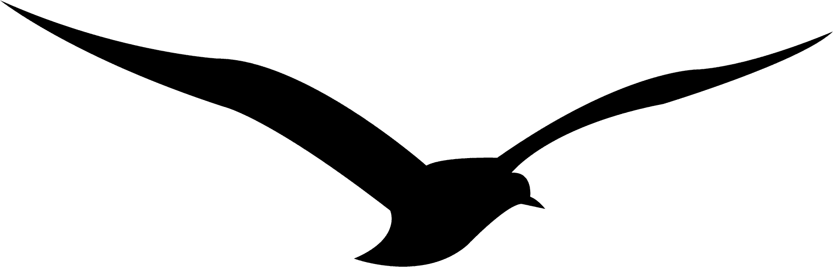 Calligraphy Alphabet Runic Z - European Swallow - Free Transparent PNG Clipart Images Download. - Transparent PNG Free Download | PNGio