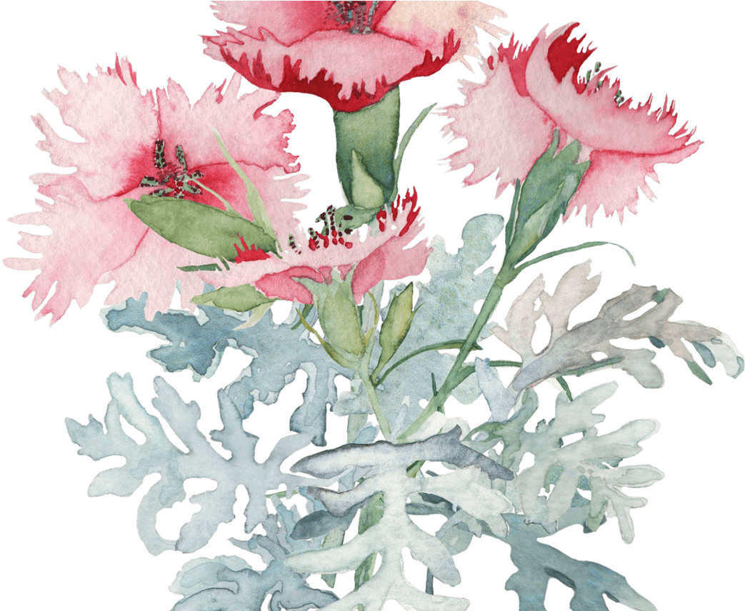 Watercolor Poppy Leaves Google Search Tattoos Pinterest - Spring Flower Watercolor Bouquet Png - Free Transparent PNG Clipart Images Download. - Transparent PNG Free Download | PNGio