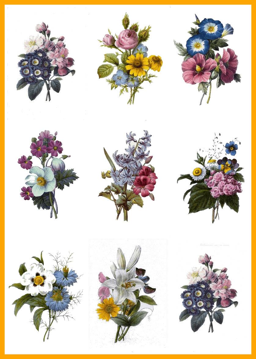 Astonishing Pin By Lindsey Rae On Drawing Tattoo Tatting - Redoute Bouquet Pillow Case - Free Transparent PNG Clipart Images Download. - Transparent PNG Free Download | PNGio