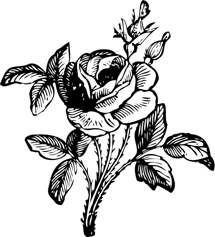 Tribal Tattoo With Rose Clip Art Download - Black And White Flower Png - Free Transparent PNG Clipart Images Download. - Transparent PNG Free Download | PNGio