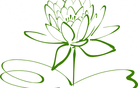 Small Lotus Flower Outline Tattoo - Drawing Black And White Flower Clip Art - Free Transparent PNG Clipart Images Download. - Transparent PNG Free Download | PNGio