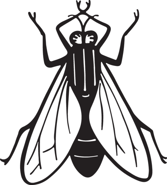 Fly Clipart Insect - Art Print: Pop Ink - Csa Images' Housefly, 12x12in. - Free Transparent PNG Clipart Images Download. - Transparent PNG Free Download | PNGio