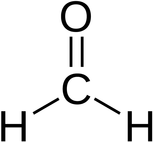 Tattoo Clip Art Leaf Line Art Plants Drawing - Rainforest Jungle Leaves Template - Free Transparent PNG Clipart Images Download. - Transparent PNG Free Download | PNGio