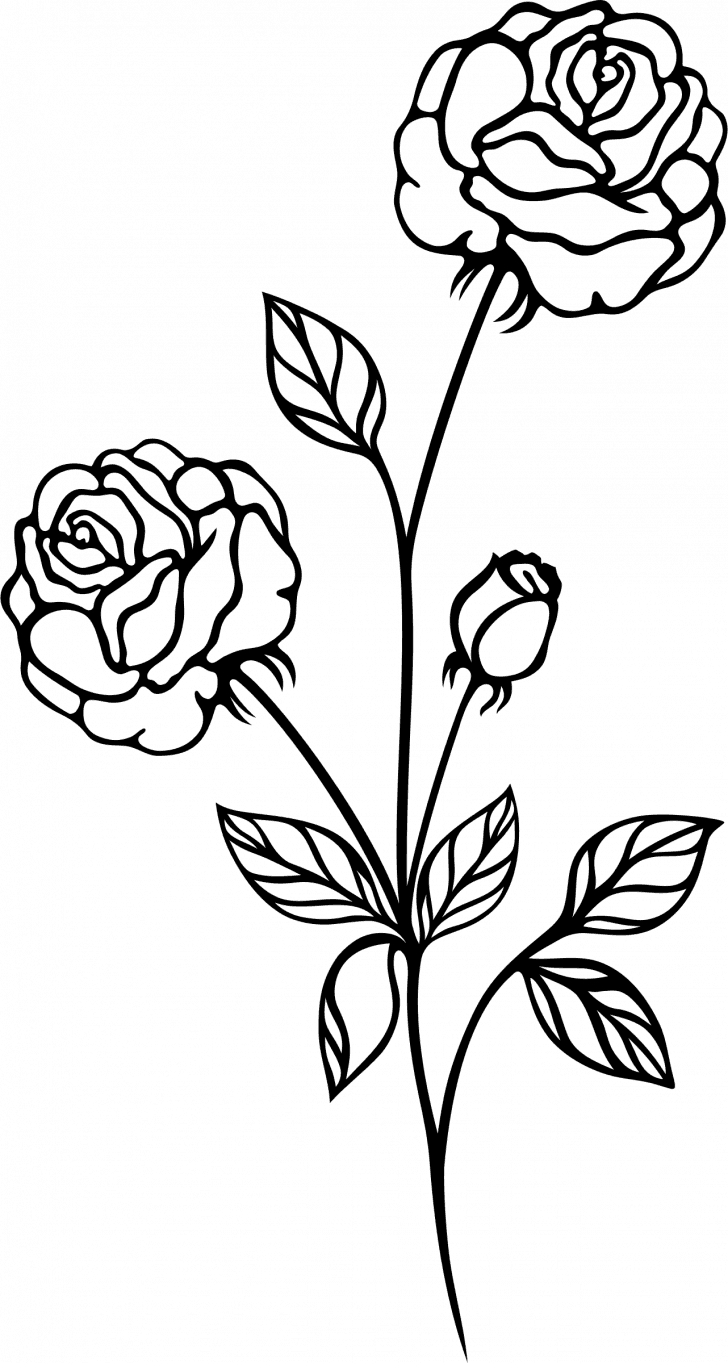 Medium Size Of How To Draw A Simple Rose Tattoo Drawing - Clip Art Black And White Rose - Free Transparent PNG Clipart Images Download. - Transparent PNG Free Download | PNGio