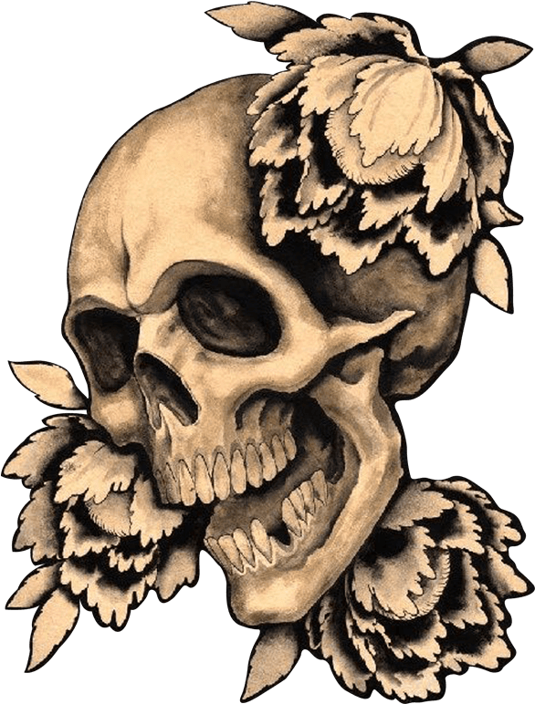 Clip Art Flowers Transprent Png Free - Skulls Art - Free Transparent PNG Clipart Images Download. - Transparent PNG Free Download | PNGio