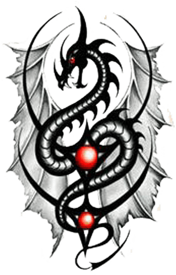 Tribal Dragon Tattoos - Tribal Dragon Tattoos - Free Transparent PNG Clipart Images Download. - Transparent PNG Free Download | PNGio
