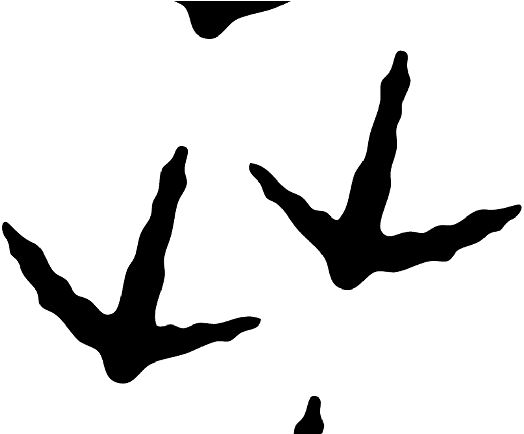 Turkey Tracks Tattoos Pinterest Track And Turkey - Turkey Tracks Tattoos Pinterest Track And Turkey - Free Transparent PNG Clipart Images Download. - Transparent PNG Free Download | PNGio