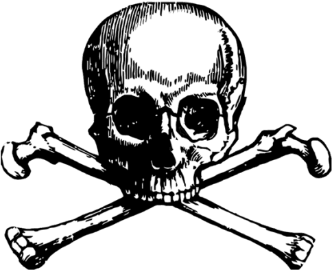 Skull And Crossbones Tattoos - Skull And Crossbones Tattoos - Free Transparent PNG Clipart Images Download. - Transparent PNG Free Download | PNGio