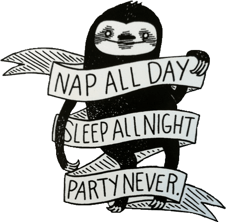 U003c Great Tattoo Idea For Me Lol - Nap All Day Sleep All Night Party Never Print - Free Transparent PNG Clipart Images Download. - Transparent PNG Free Download | PNGio
