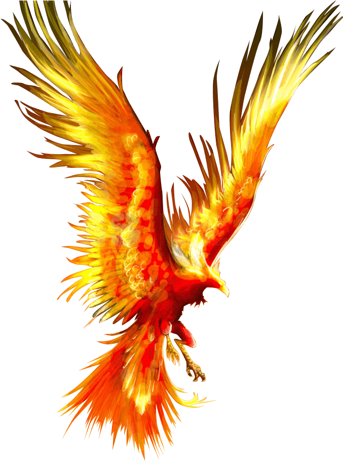 Phoenix Clipart Firebird - Phoenix Bird Transparent Background - Free Transparent PNG Clipart Images Download. - Transparent PNG Free Download | PNGio