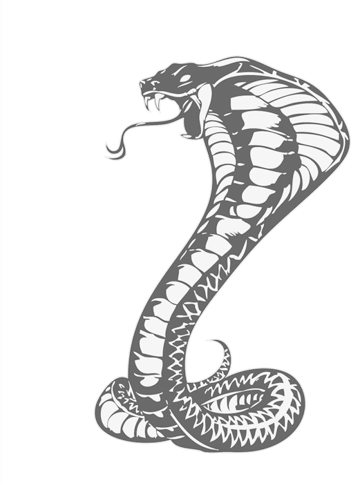 Cobras King Cobra Snakes Tattoo Snake Drawing Clipart - Khon Kaen United F.c. - Free Transparent PNG Clipart Images Download. - Transparent PNG Free Download | PNGio
