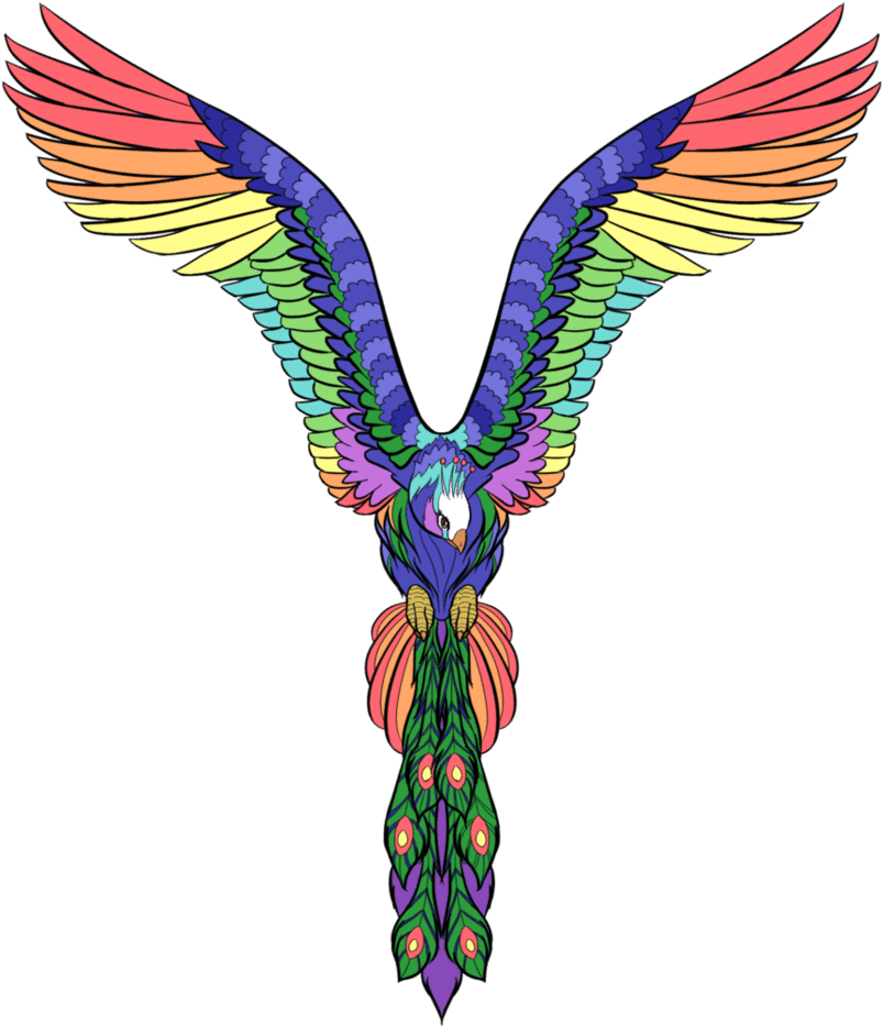 Bird Tattoo Drawing Png - Illustration - Free Transparent PNG Clipart Images Download. - Transparent PNG Free Download | PNGio