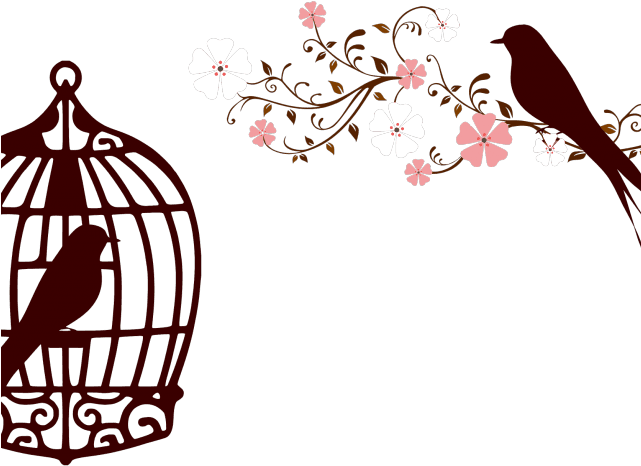 Love Birds Clipart Branch Tattoo - Bird In Cage Art Png - Free Transparent PNG Clipart Images Download. - Transparent PNG Free Download | PNGio