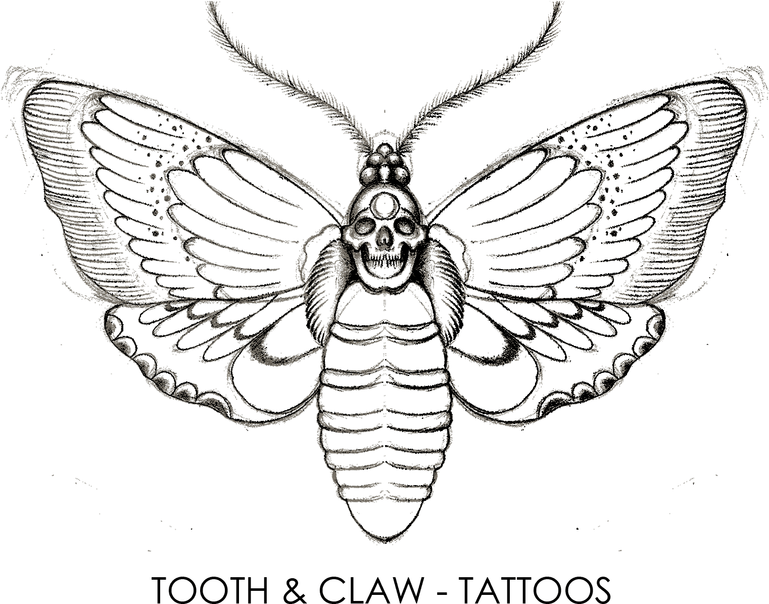 Tooth & Claw Tattoos - Transparent Flower Tattoo, HD Png Download - Transparent PNG Free Download | PNGio