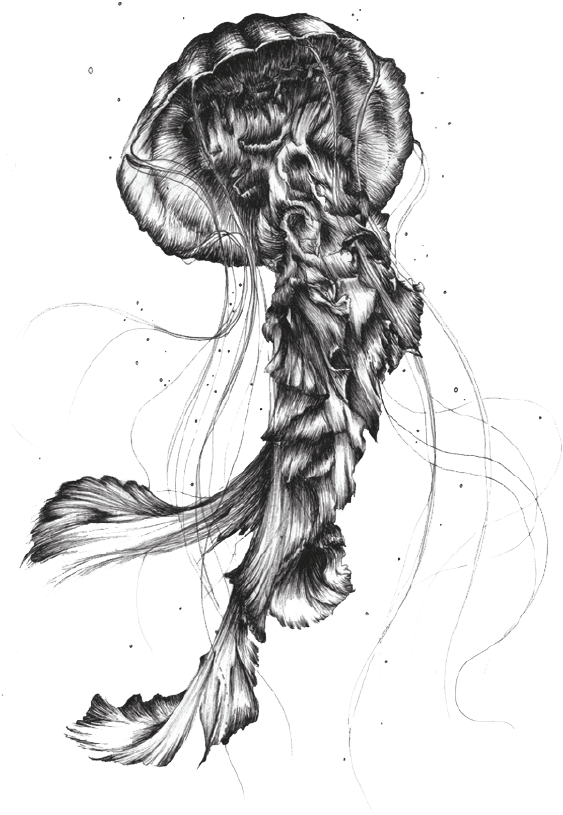 Transparent Henna Tattoo Png - Jellyfish Tattoo Png, Png Download - Transparent PNG Free Download | PNGio