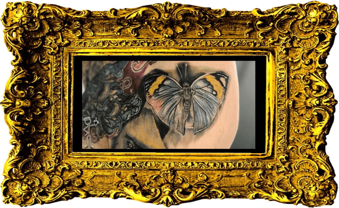 Realistic Butterfly Tattoo - Tattoo, HD Png Download - Transparent PNG Free Download | PNGio