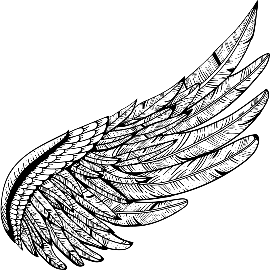 Wing Tattoo Png Image Free Download Searchpng - Wings Tattoo Clipart Png, Transparent - Transparent PNG Free Download | PNGio