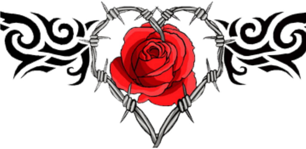 Barb Wire Heart Tattoo , Png Download - Rose Barb Wire Tattoo, Transparent - Transparent PNG Free Download | PNGio