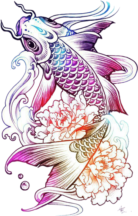 #carpa #oriental #color #tattoo #tatuagem @lucianoballack - Koi Fish Tattoo For Girls, HD Png Download - Transparent PNG Free Download | PNGio