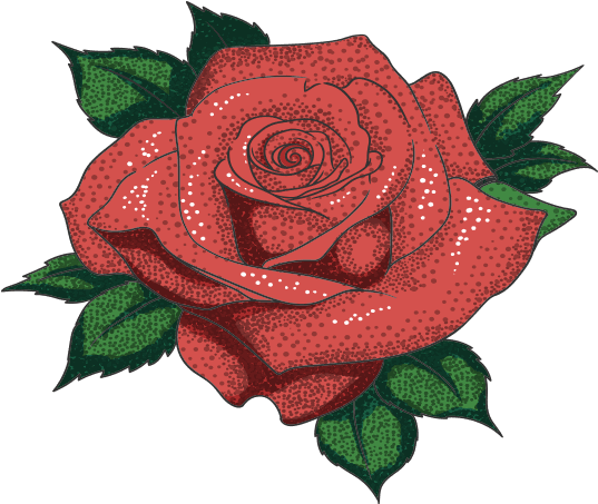 Rose Tattoo Png Image - Rose Shoe Designs Flower, Transparent - Transparent PNG Free Download | PNGio