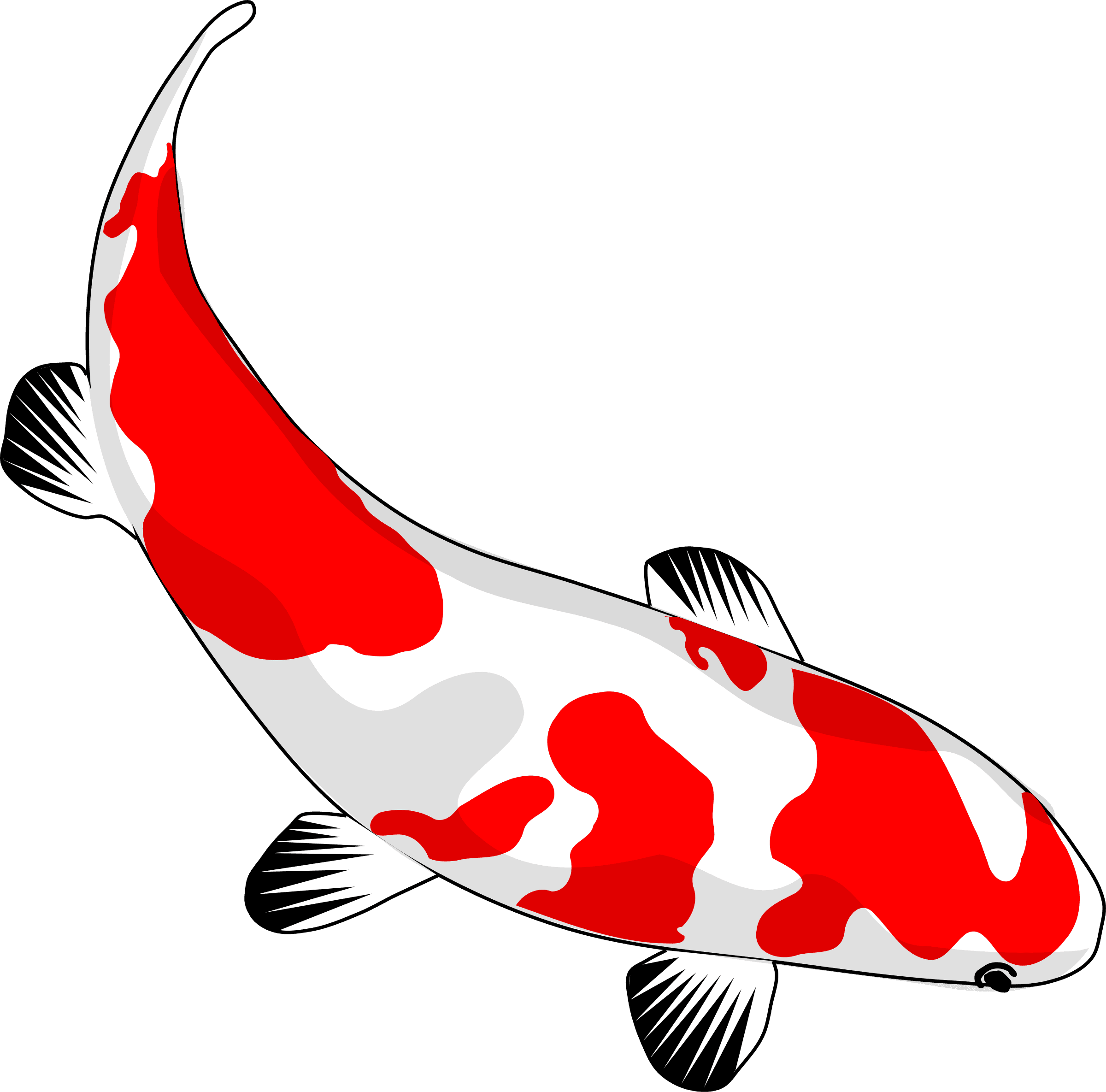 Koi Fish Clip Art Png Pinterest Koifishclipartpng Ⓒ, Transparent - Transparent PNG Free Download | PNGio