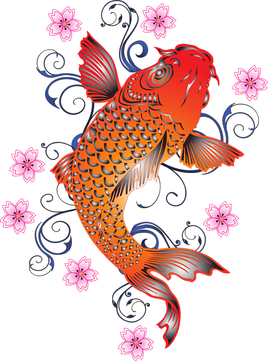 Koi Fish Tattoo Png, Transparent - Transparent PNG Free Download | PNGio