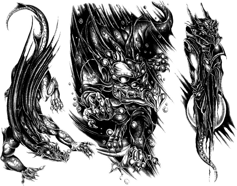 Wolf Tattoos Png Transparent Images - Illustration, Png Download - Transparent PNG Free Download | PNGio