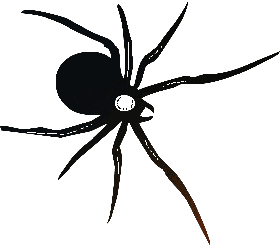 Temporary Tattoos Tatouage Temporaire Aigle Tattoo, HD Png Download - Transparent PNG Free Download | PNGio