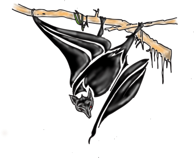 Bat Tattoos Design - Illustration, HD Png Download - Transparent PNG Free Download | PNGio